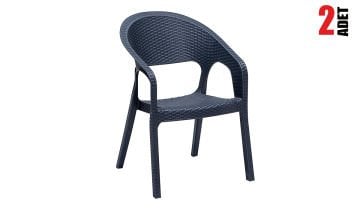 Garden Rattan Sandalye Antrasit (2 Adet)