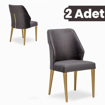 Vanesa 2 Adet Yemek-Mutfak-Salon Sandalyesi / Antrasit