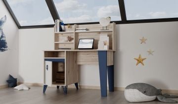 Rüya  Çalışma Masası